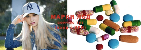 шишки Алзамай