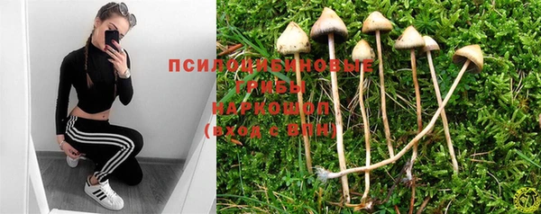 а пвп мука Абаза