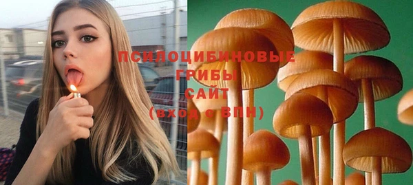 а пвп мука Абаза