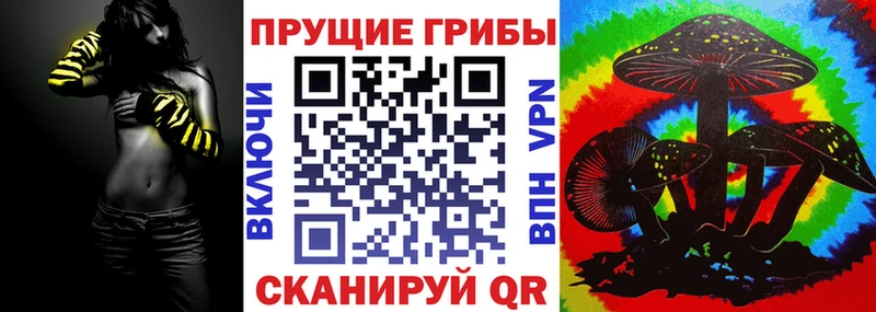 Псилоцибиновые грибы Psilocybine cubensis Заозёрный